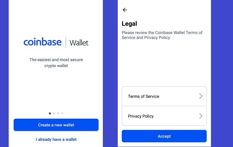 coinbase wallet collectibles not showing