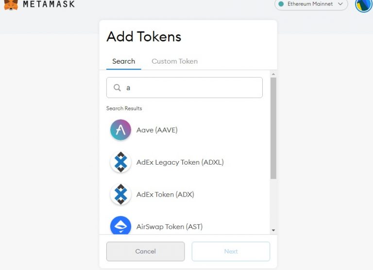 cant see dnt in metamask