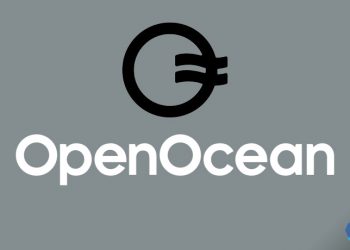 How to use OpenOcean?