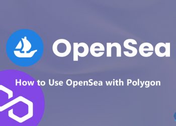 How to use OpenSea with Polygon